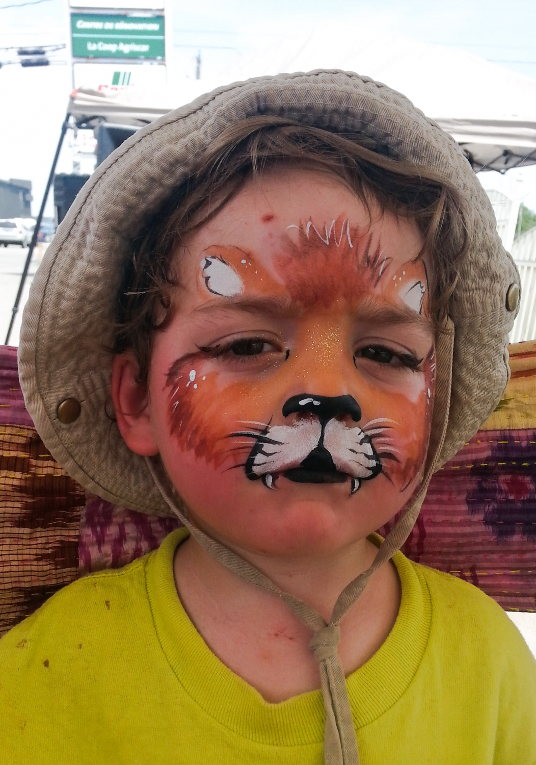 bébé lion